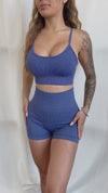 Seamless Zebra Sports Bra (Blue)