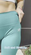 Essential Seamless Soft Leggings (Teal)