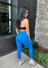Essential Seamless Soft Leggings (Berry Blue)