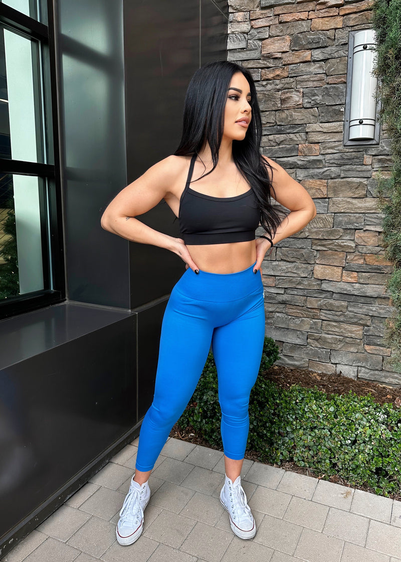 Essential Seamless Soft Leggings (Berry Blue)