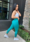 Essential Seamless Soft Leggings (Teal)